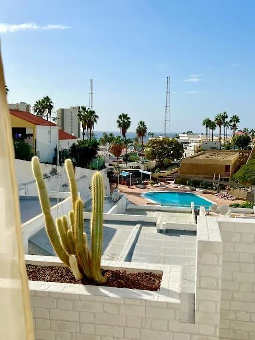 Sunny Apt On The Paradise Coast. contacts