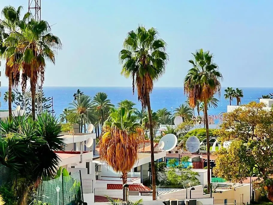 Sunny Apt On The Paradise Coast. Arona  0*, Arona (Tenerife)